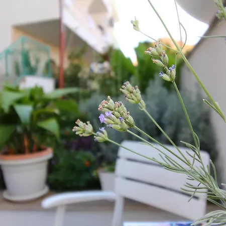 Apartman Nika - Marija *